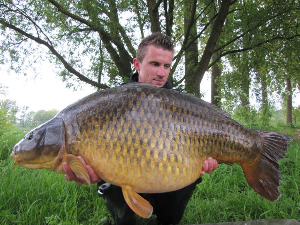 Eendenmeer | VBK.vzw